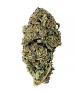 King Kush - AAA - $90/Oz