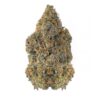 Lemon Skunk - AAAA