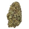 Nuken - AA - $60