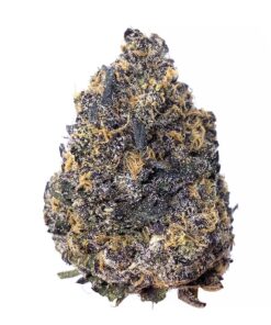 Phoenix OG - AAA+