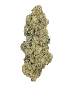 Pink Gas - AAA+