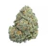 Pink Gelato - AAA+