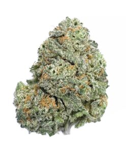Pink Gelato - AAA+