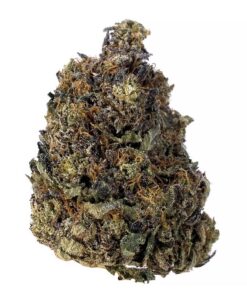 Pink Kush - AAAA