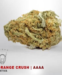 Orange Crush - AAAA
