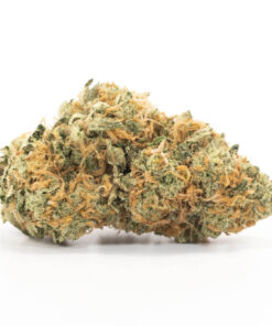 Orange Cookies