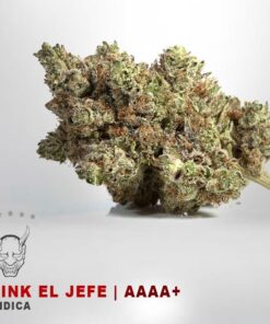 Pink El Jefe - AAAA+