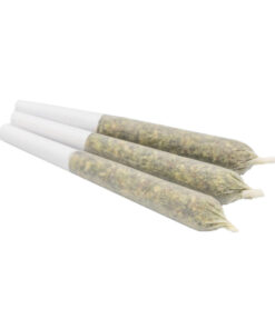 Pre Rolls 800x800