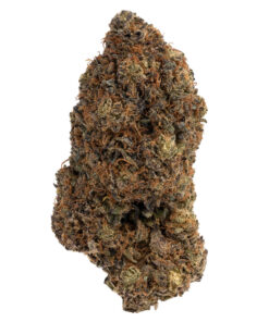 Purple Magic