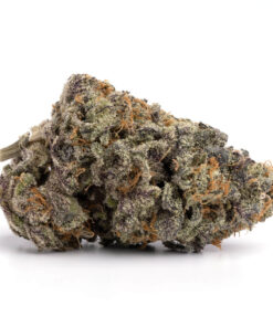 Purple Urkle