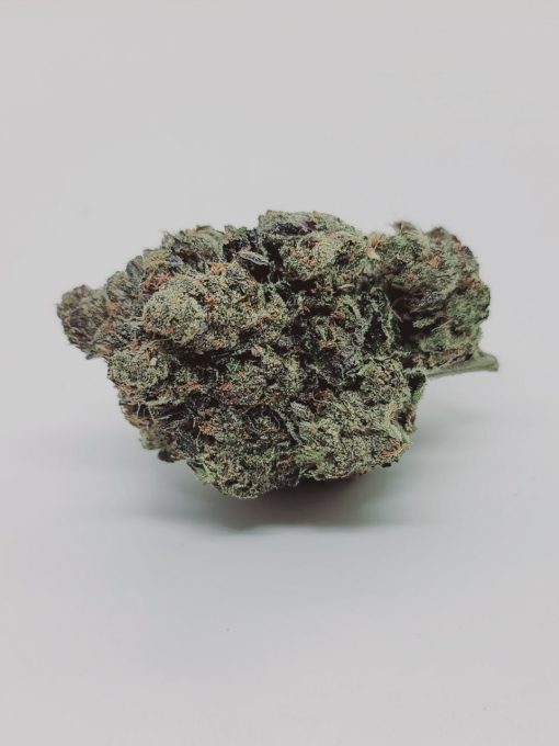 buy RETURN OF THE BUBBA – INDICA