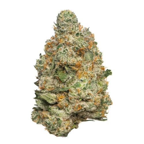 Apple Fritter - Sativa