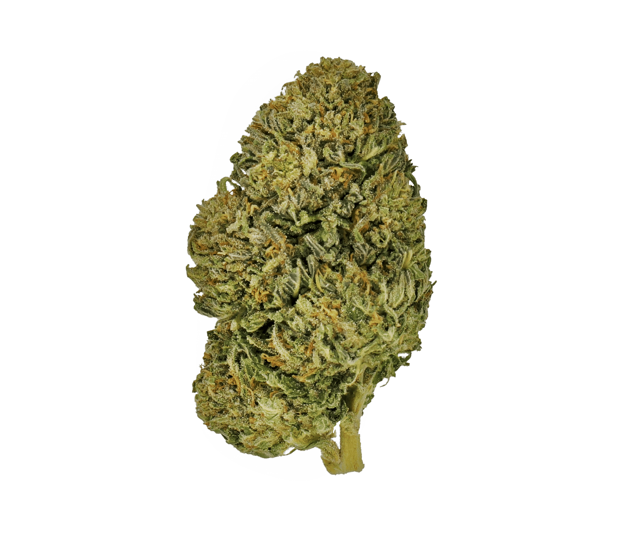 Meilleur cannabis Hunny Pot