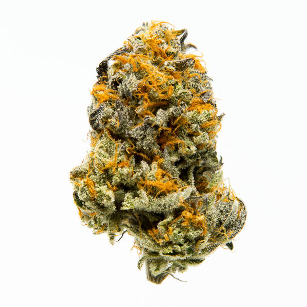 Best Hunny Pot Cannabis