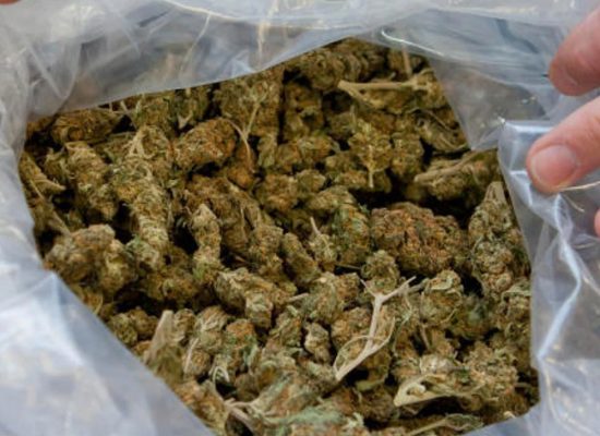 acheter sur Gas-dank.com