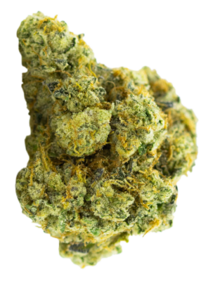 Best Recreational Cannabis From Stash and Co in Ottawa Best Recreational Cannabis From Stash and Co in Ottawa
